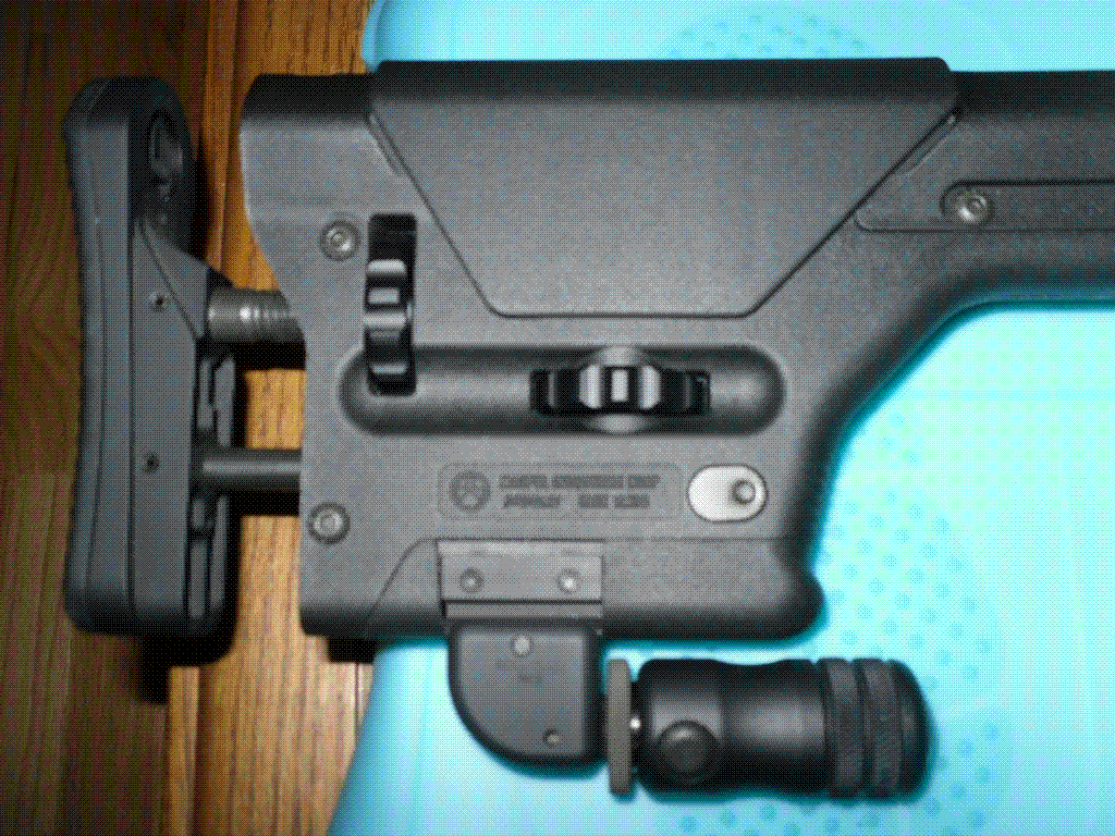 Magpul PRS + Accushot Monopod